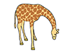 Giraffe ｜ Kirin --Animal ｜ Animal ｜ Free Illustration Material