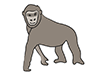 Gorilla-Animal | Animal | Free Illustration Material