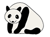 Panda-Animal | Animal | Free Illustration Material