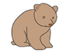 Bear ｜ Bear-Animal ｜ Animal ｜ Free Illustration Material