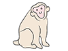 Monkey ｜ Monkey ｜ Animal ｜ Animal ｜ Free Illustration Material