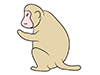Monkey ｜ Monkey-Animal ｜ Animal ｜ Free Illustration Material