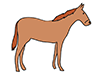 Horses | Horses-Animal | Animals | Free Illustrations