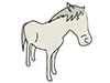 Horses | Horses-Animal | Animals | Free Illustrations