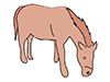 Horse ｜ Horse-Animal ｜ Animal ｜ Free Illustration Material