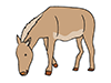 Donkey-Animal | Animal | Free Illustration Material