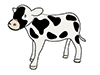 Cow ｜ Cow-Animal ｜ Animal ｜ Free Illustration Material