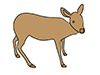 Deer ｜ Deer ――Animal ｜ Animal ｜ Free Illustration Material