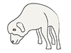 Sheep | Sheep-Animal | Animal | Free Illustrations
