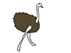 Ostrich ｜ Ostrich --Animal ｜ Animal ｜ Free illustration material
