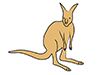 Kangaroo-Animal | Animal | Free Illustration Material