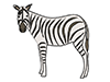 Zebra-Animal | Animal | Free Illustration Material