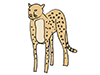 Leopard-Animal | Animal | Free Illustration Material