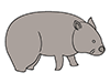 Wombat-Animal | Animal | Free Illustration Material