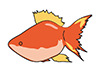 Goldfish-Animal | Animal | Free Illustration Material