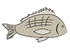 Crucian carp-animals | animals | free illustrations