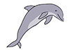 Sea pig ｜ Dolphin ―― Animal ｜ Animal ｜ Free illustration material