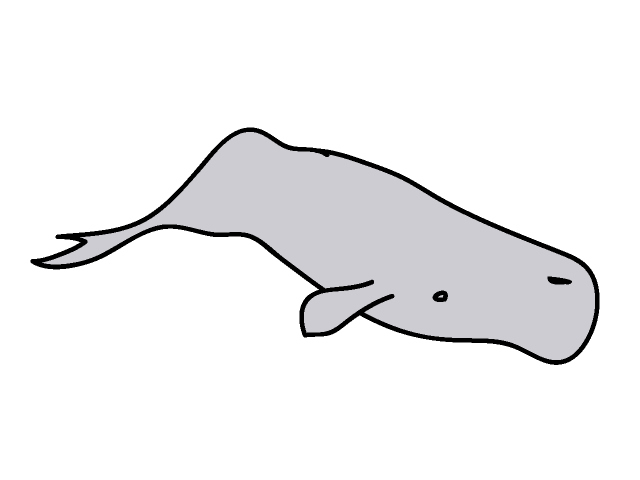 鯨｜クジラ - 動物 / クリップアート / 無料 / アニマル / イラスト / アイコン / かわいい / 絵