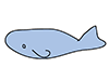 Whale ｜ Whale-Animal ｜ Animal ｜ Free Illustration Material