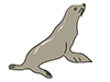 Seals / Sea Lions-Animal | Animals | Free Illustrations