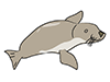 Seals / Sea Lions-Animal | Animals | Free Illustrations