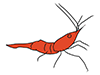 Shrimp / Shrimp-Animal | Animal | Free Illustration Material