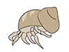 Hermit Crab-Animal | Animal | Free Illustration Material