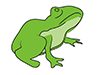 Frog / Frog-Animal | Animal | Free Illustrations