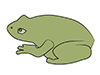 Frog / Frog-Animal | Animal | Free Illustrations