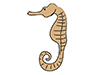 Seahorse-Animal | Animal | Free Illustration Material