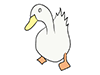 House duck ｜ Duck ――Animal ｜ Animal ｜ Free illustration material