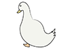 Duck ｜ House duck ――Animal ｜ Animal ｜ Free illustration material