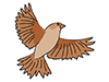 Sparrow / Sparrow-Animal | Animal | Free Illustration Material