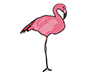 Flamingo-Animal | Animal | Free Illustration Material