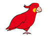 Parrot-Animal | Animal | Free Illustration Material
