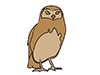 Owl / Owl-Animal | Animal | Free Illustration Material