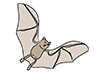 Bats | Bats-Animal | Animals | Free Illustrations