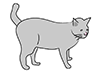 Cats | Cats-Animal | Animals | Free Illustrations