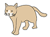 Cats | Cats-Animal | Animals | Free Illustrations