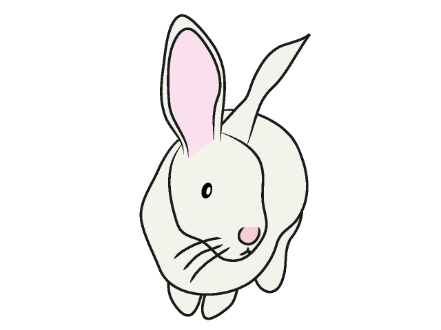 兎｜ウサギ - 動物 / クリップアート / 無料 / アニマル / イラスト / アイコン / かわいい / 絵