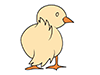 Chick-Animal | Animal | Free Illustration Material