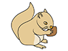 Squirrel ｜ Kurisu ――Animal ｜ Animal ｜ Free illustration material