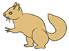 Squirrel ｜ Squirrel-Animal ｜ Animal ｜ Free Illustration Material