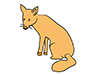 Fox ｜ Fox-Animal ｜ Animal ｜ Free Illustration Material