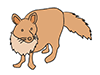Fox ｜ Fox --Animal ｜ Animal ｜ Free Illustration Material