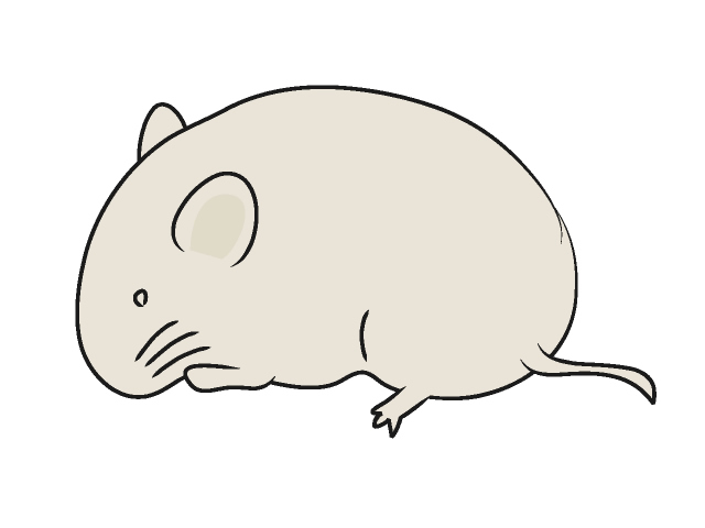 鼠｜ネズミ - 動物 / クリップアート / 無料 / アニマル / イラスト / アイコン / かわいい / 絵