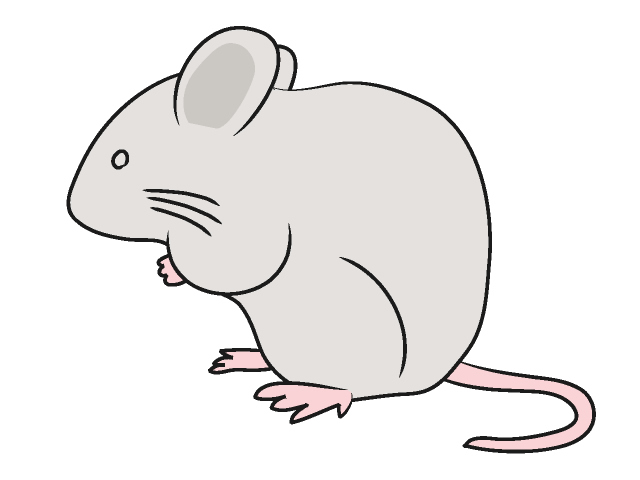 ネズミ｜鼠 - 動物 / クリップアート / 無料 / アニマル / イラスト / アイコン / かわいい / 絵