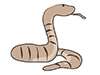 Snakes / Snakes-Animal | Animals | Free Illustrations