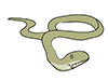Snakes / Snakes-Animal | Animals | Free Illustrations