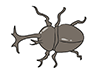 Beetle ｜ Insects-Animal ｜ Animal ｜ Free Illustration Material